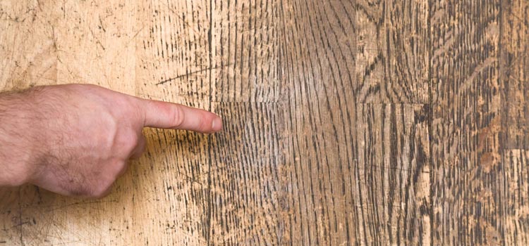 Wood Door Scratch Repair in Ontario